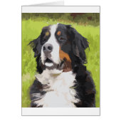 Bernese mountain dog (Front)