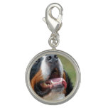 bernese-mountain-dog-14 charm