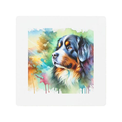 Bernese Mountain Dog 210624AREF133 _ Watercolor Metal Print