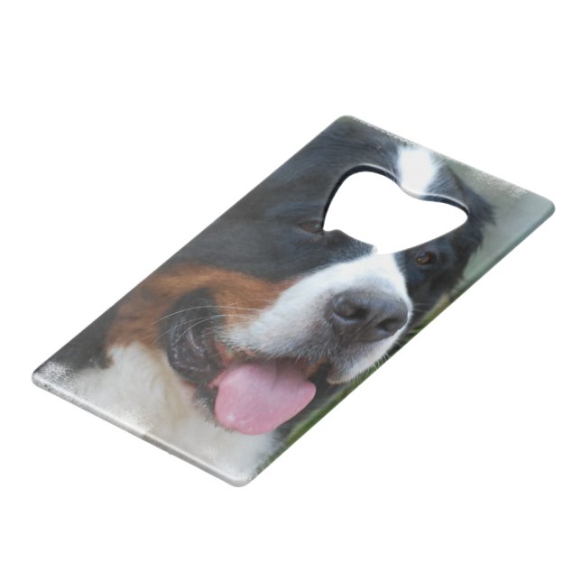 bernese-mountain-dog-7 credit card bottle opener (Front Angled)