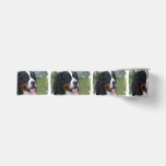 bernese-mountain-dog-7 grosgrain ribbon