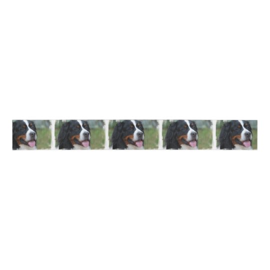 Bernese Mountain Dog 7 Grosgrain Ribbon Zazzle Com