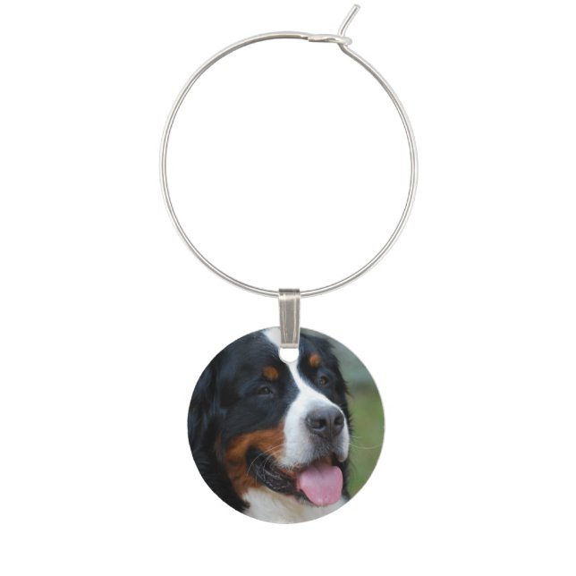bernese-mountain-dog-7 wine glass charm (Front)