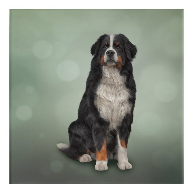 Bernese Mountain Dog Acrylic Print (Front)