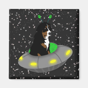 Bernese Mountain Dog Alien Magnet