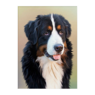 bernese mountain dog art