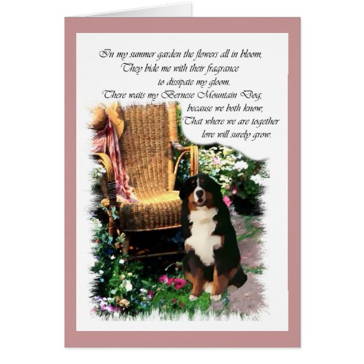 Bernese Mountain Dog Art Gifts Cards (Front)