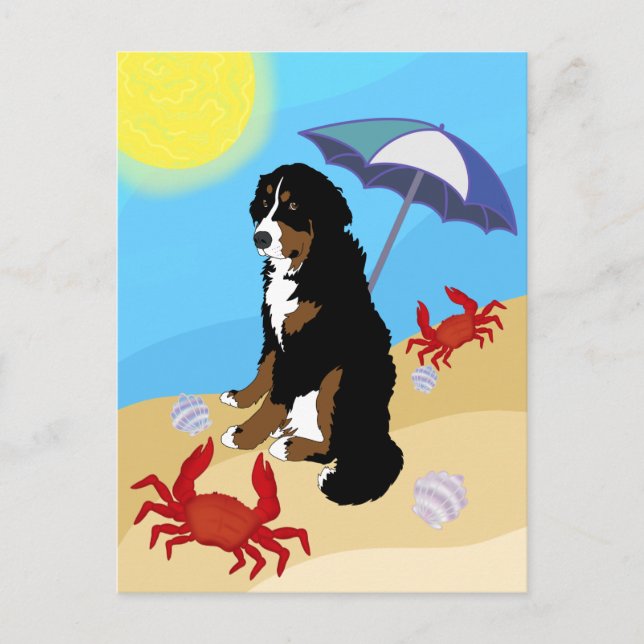 Bernese Mountain Dog Beach Postcard (Front)