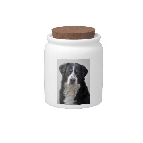 Bernese Mountain dog beautiful photo gift Candy Jar