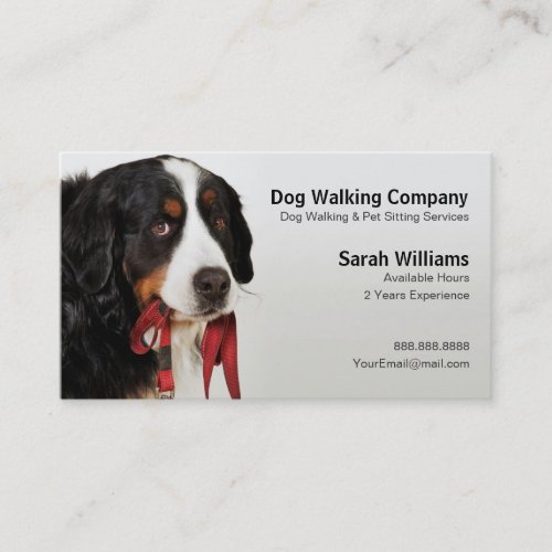 Bernese Mountain Dog Berner Sennenhund Business Card