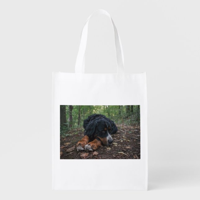 “bernese mountain dog”,” bernese mountain dog t sh grocery bag (Front)