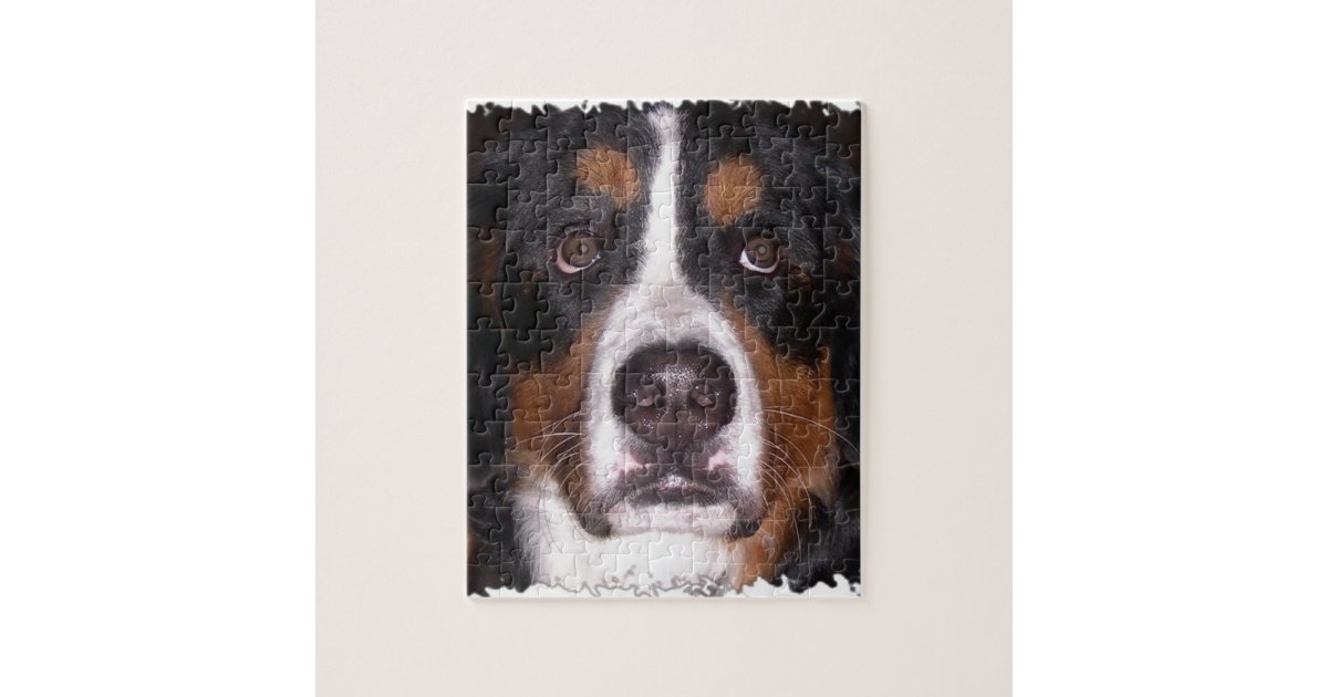 :Bernese Mountain Dog" "Big Dog" Dog Jigsaw Puzzle ...