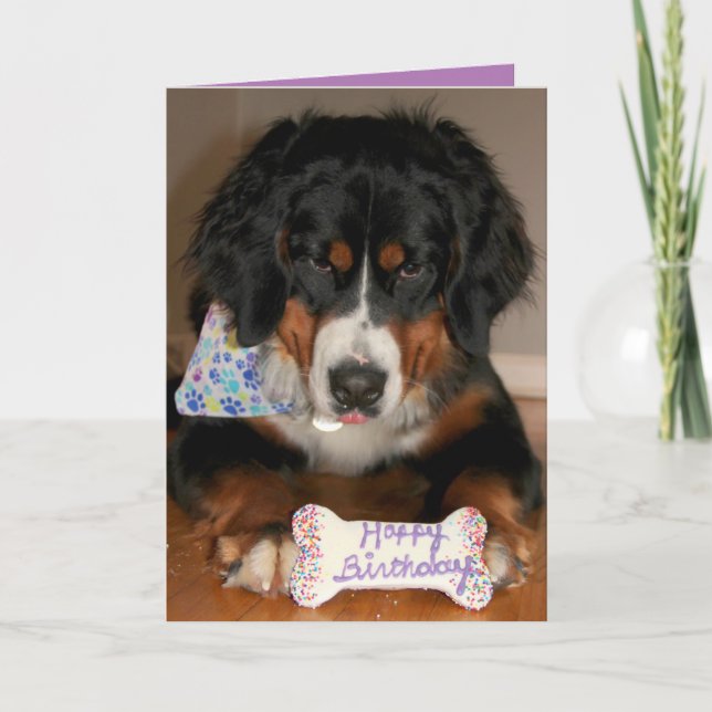 Bernese Mountain Dog Birthday Holiday Card (Front)