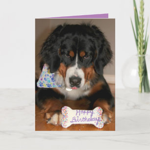 Bernese Mountain Dog Birthday Holiday Card