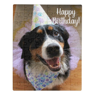 Bernese Mountain Dog Birthday Puzzle