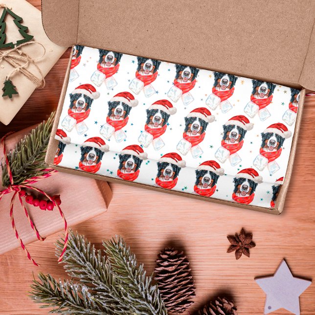 Bernese Mountain Dog Breed Christmas Tissue Paper (Creator Uploaded)