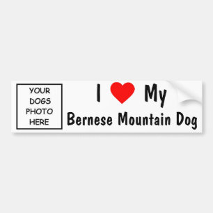 Bernese Mountain Dog Bumper Sticker
