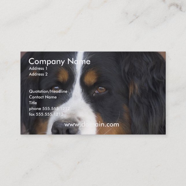 Bernese Mountain Dog Business Card (Front)