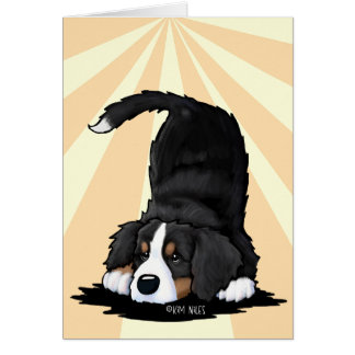 Bernese Mountain Dog Cards