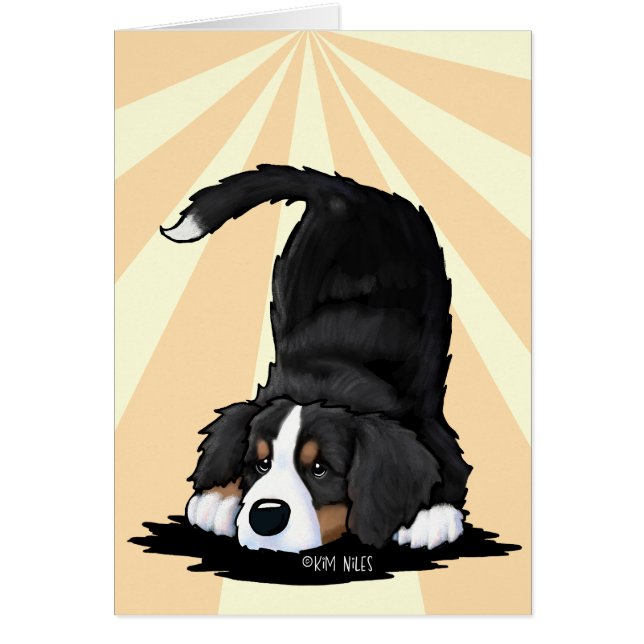 Bernese Mountain Dog Cards (Front)