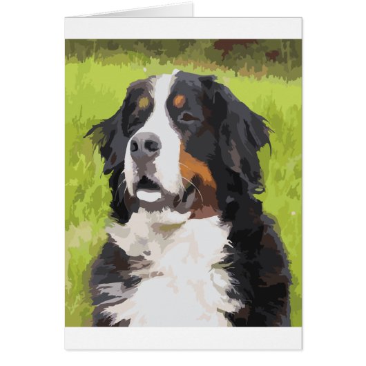 Bernese mountain dog cards (Front)