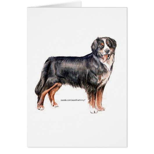 Bernese Mountain Dog Cards (Front)