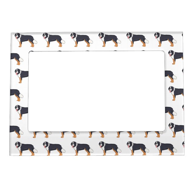 Bernese mountain dog cartoon illustration magnetic frame (Front)