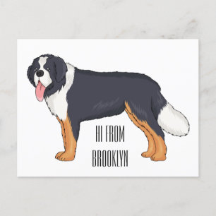 Bernese mountain dog cartoon illustration postcard
