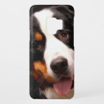 Bernese Mountain Dog Case-Mate Samsung Galaxy S9 Case<br><div class="desc">Bernese Mountain Dog "bernese mountain dog",  doggie,  painting,  dog,  dogs,  pet,  pets,  animal,  animals,  canine,   black,  brown,  white,  dogue,  breed,   "dog breeds",  "domestic dog",  adorable,  adult,   pedigree,  carnivore,   beautiful,  canine,  domesticated,  lovable,  lovely,   magnificent,   male,   mammal,  nature,  pedigree,  purebred, </div>