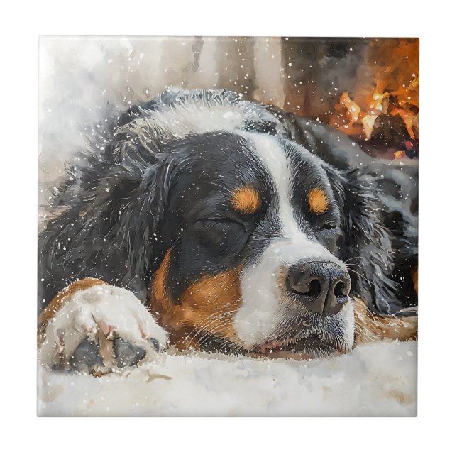 Bernese Mountain Dog Ceramic Tile (Front)
