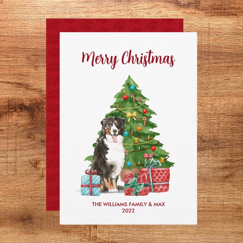 Bernese Mountain Dog Christmas Card