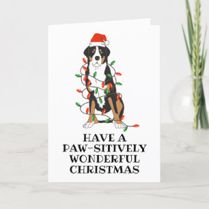 bernese mountain dog christmas cards