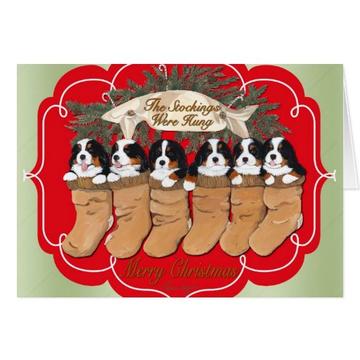 Bernese Mountain Dog Christmas Cards | Zazzle