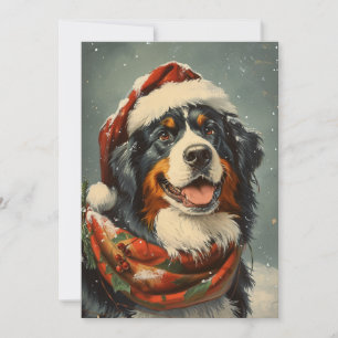 Bernese mountain dog Christmas  Holiday Card