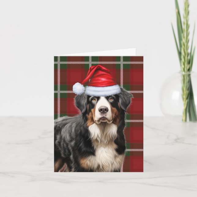 Bernese Mountain Dog Christmas Holiday Plaid (Front)