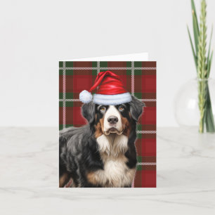 Bernese Mountain Dog Christmas Holiday Plaid