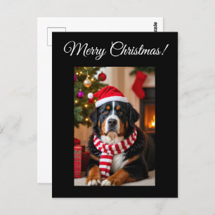 Bernese Mountain Dog Christmas Postcard