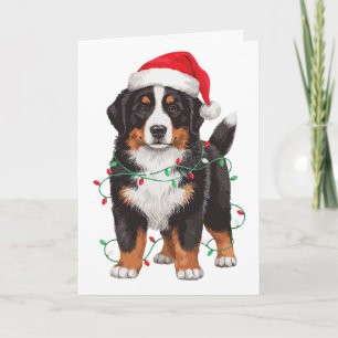 Bernese Mountain Dog Christmas Santa Hat Lights Card