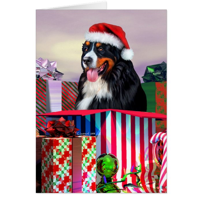 Bernese Mountain Dog Christmas Surprise Greeting Cards