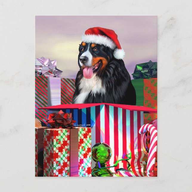 Bernese Mountain Dog Christmas Surprise Holiday Postcard (Front)