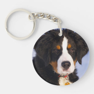 Bernese Mountain Dog - Cute Puppy Photo Keychain