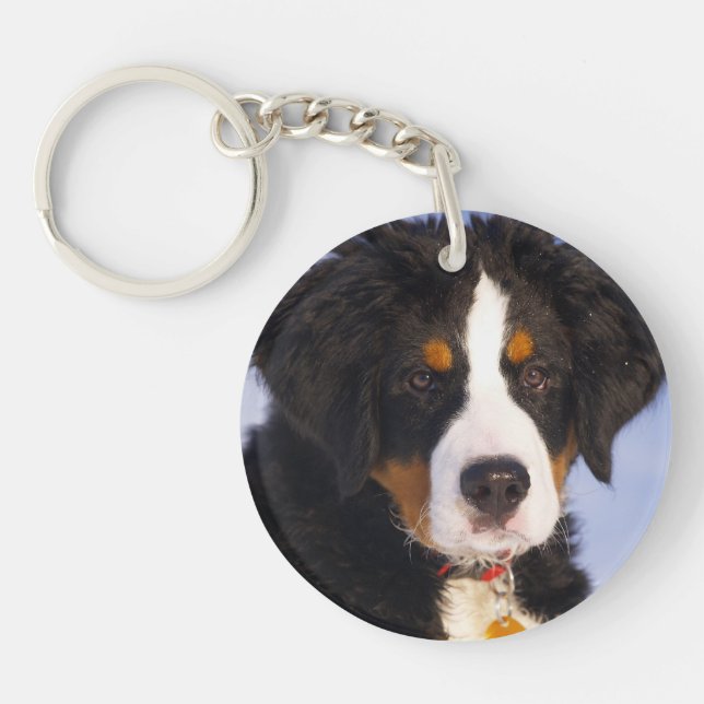Bernese Mountain Dog - Cute Puppy Photo Keychain (Front)