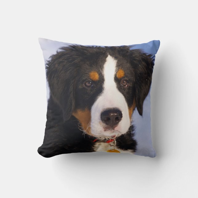 Bernese Mountain Dog - Cute Puppy Photo Throw Pillow (Front)