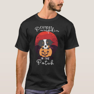 Bernese Mountain Dog Cutest Pumpkin In The Patch T-Shirt