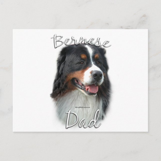 Bernese Mountain Dog Dad 2 Postcard (Front)