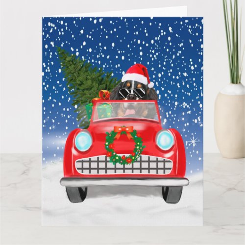 Bernese Mountain Dog Driving Car In Snow Christmas Card