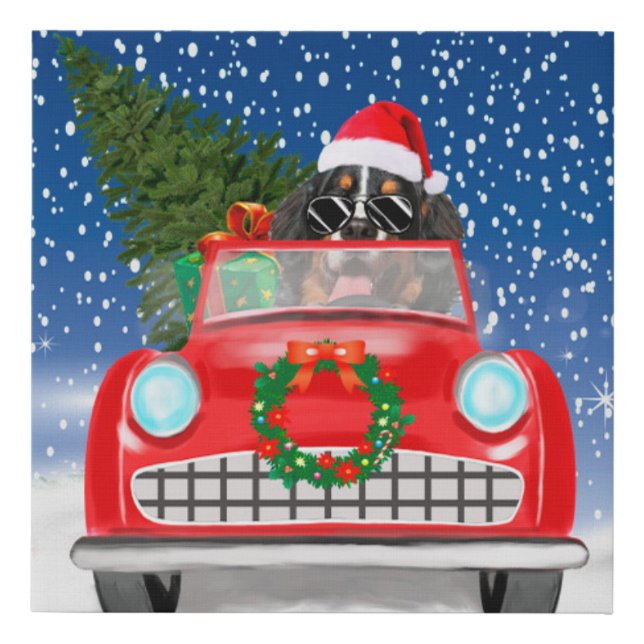 Bernese Mountain Dog Driving Car In Snow Christmas Faux Canvas Print (Front)