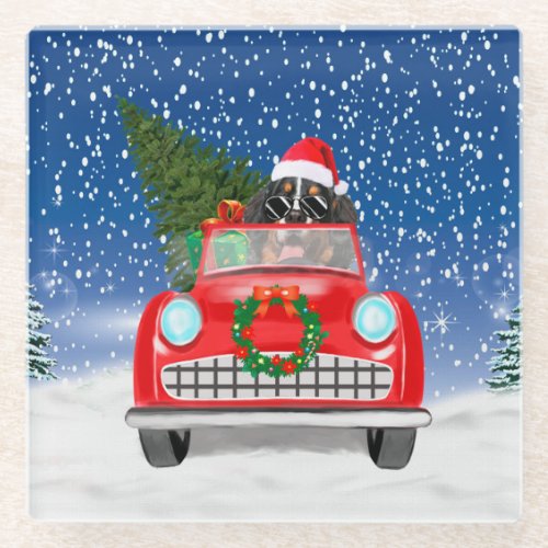 Bernese Mountain Dog Driving Car In Snow Christmas Glass Coaster