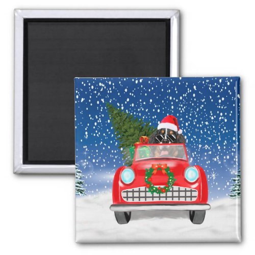Bernese Mountain Dog Driving Car In Snow Christmas Magnet