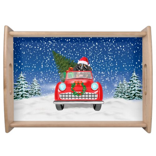 Bernese Mountain Dog Driving Car In Snow Christmas Serving Tray